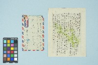 藏品(施月霞寄給劉耀廷的書信（第十四信）（1953年8月7日）)的圖片