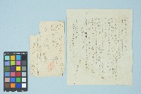 藏品(劉耀廷寄給施月霞的書信（第十九信）（1953年8月24日）)的圖片