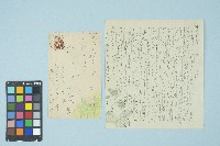 藏品(劉耀廷寄給施月霞的書信（第二十六信）（1953年10月11日）)的圖片