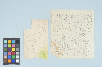 藏品(劉耀廷寄給施月霞的書信（第三十一信）（1953年11月16日）)的圖片