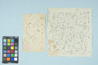 藏品(劉耀廷寄給施月霞的書信（第三十二信）（1953年11月22日）)的圖片