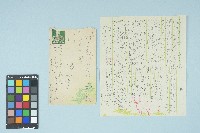 藏品(劉耀廷寄給施月霞的書信（第三十六信）（1953年12月17日）)的圖片