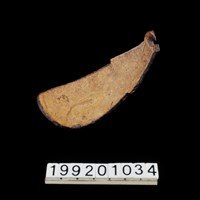 藏品(椰殼匙)的圖片