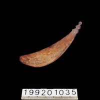 藏品(椰殼匙)的圖片