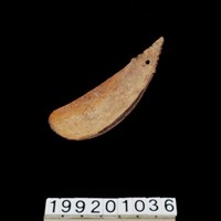 藏品(椰殼匙)的圖片