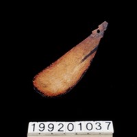 藏品(椰殼匙)的圖片