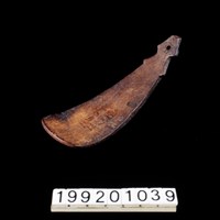 藏品(椰殼匙)的圖片