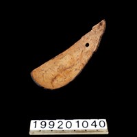 藏品(椰殼匙)的圖片