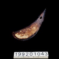 藏品(椰殼匙)的圖片