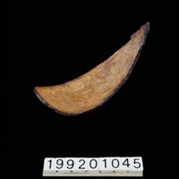 藏品(椰殼匙)的圖片