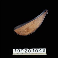 藏品(椰殼匙)的圖片