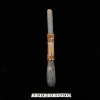 藏品(石杵)的圖片