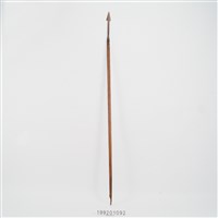 藏品(長矛)的圖片