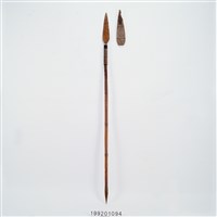 藏品(長矛)的圖片