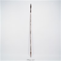 藏品(長矛)的圖片