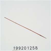 藏品(箭)的圖片