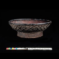 藏品(竹豆)的圖片