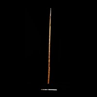 藏品(竹杖)的圖片