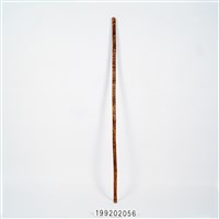 藏品(竹杖)的圖片