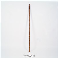 藏品(竹杖)的圖片