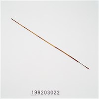 藏品(箭)的圖片