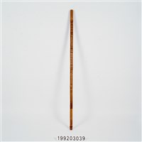 藏品(竹杖)的圖片