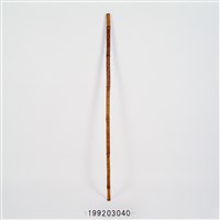 藏品(竹杖)的圖片