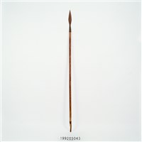 藏品(長矛)的圖片