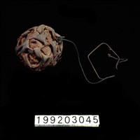 藏品(藤球)的圖片