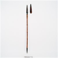 藏品(長矛)的圖片