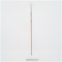 藏品(箭)的圖片