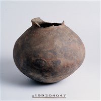 藏品(陶壺)的圖片