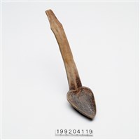 藏品(木匙)的圖片