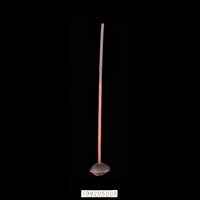 藏品(紡錘)的圖片