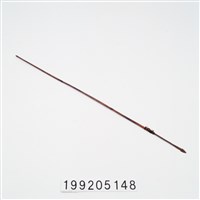 藏品(箭)的圖片