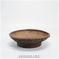 藏品(藤豆)的圖片