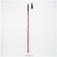 藏品(長矛)的圖片