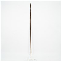 藏品(長矛)的圖片