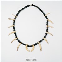 藏品(獸牙項飾)的圖片