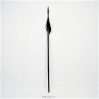 藏品(長矛)的圖片