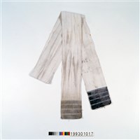 藏品(丁字帶)的圖片