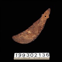 藏品(椰殼匙)的圖片