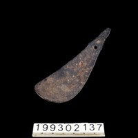 藏品(椰殼匙)的圖片