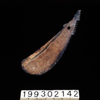 藏品(椰殼匙)的圖片