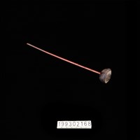 藏品(紡錘)的圖片