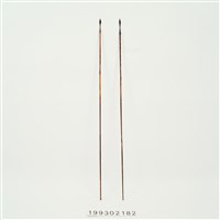 藏品(箭)的圖片