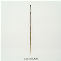 藏品(箭)的圖片