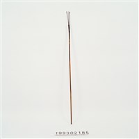 藏品(箭)的圖片