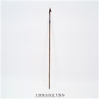 藏品(箭)的圖片