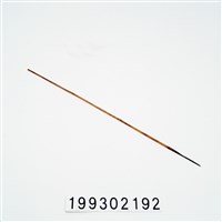 藏品(箭)的圖片